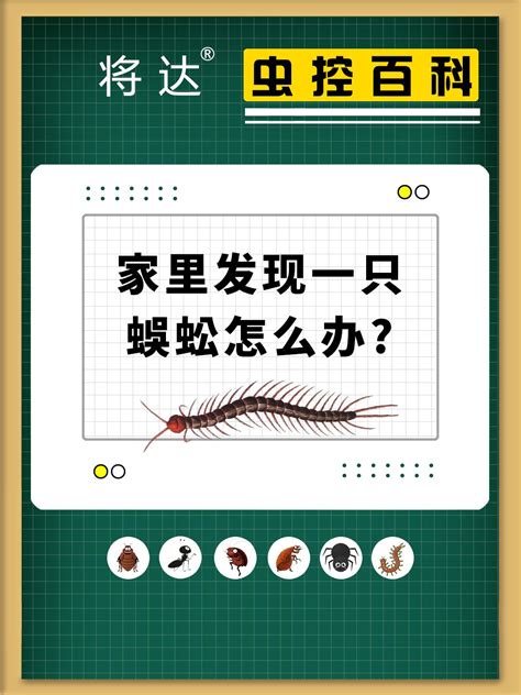 房間裡有蜈蚣|蜈蚣怕什麼？怎麼防止蜈蚣進入臥室？家庭防蜈蚣及蜈蚣處理辦法。